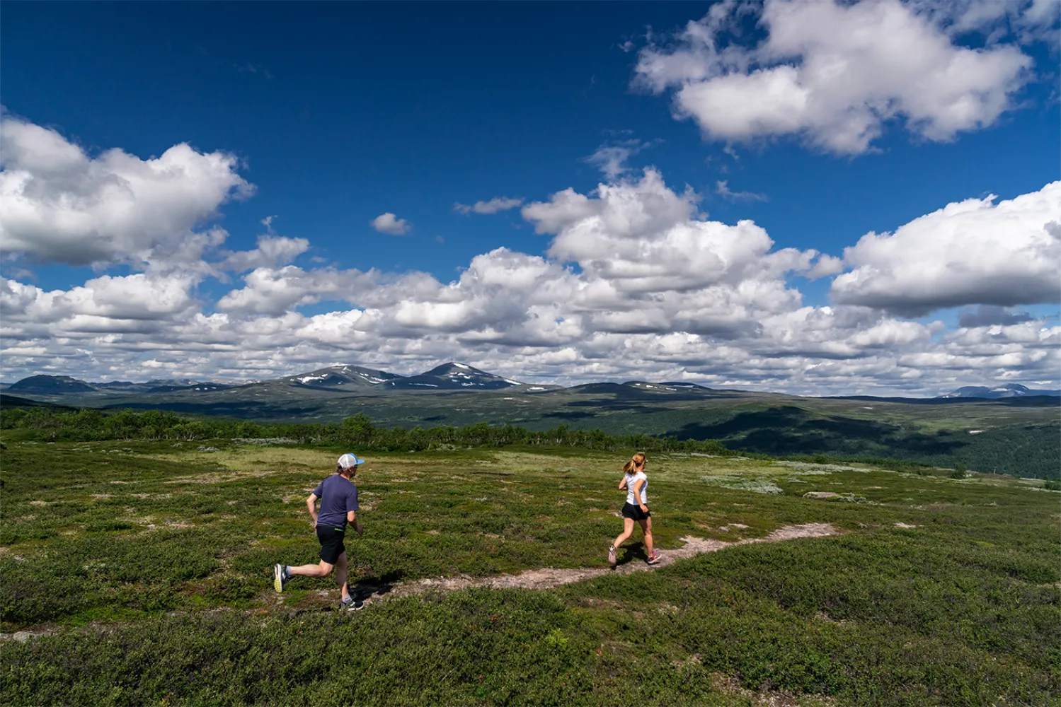 Fjällöpning