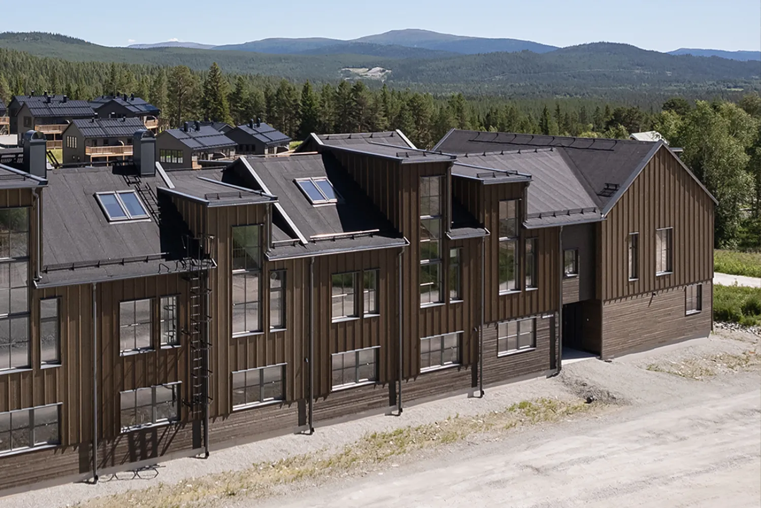 Ömsedal exteriör i fjällandskap